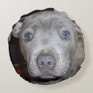 Almofada Redonda Blue Staffordshire Bull Terrier Puppy,