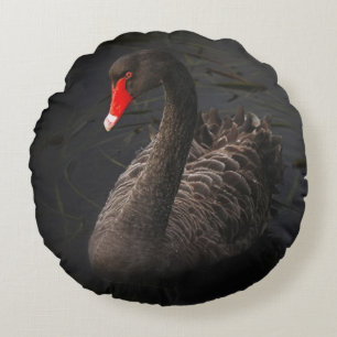 Almofada Redonda Bonito Swan Negro com Bright Beak Vermelho