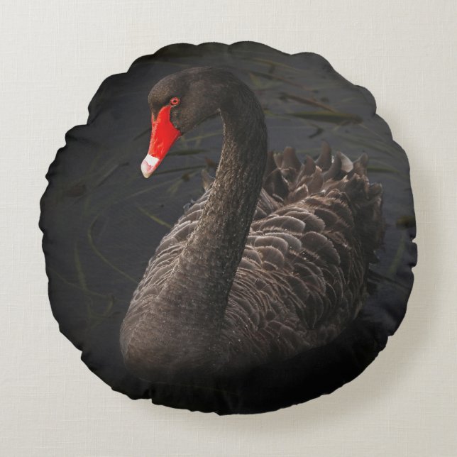 Almofada Redonda Bonito Swan Negro com Bright Beak Vermelho (Frente)