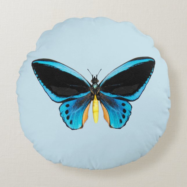 Almofada Redonda Borboleta Birdwing (Frente)