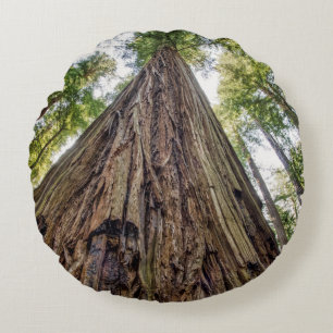 Almofada Redonda Bosque de Roosevelt