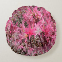 Buquê de Amaryllis........