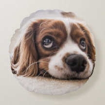 Cachorro Panelado De Olhos Tristes