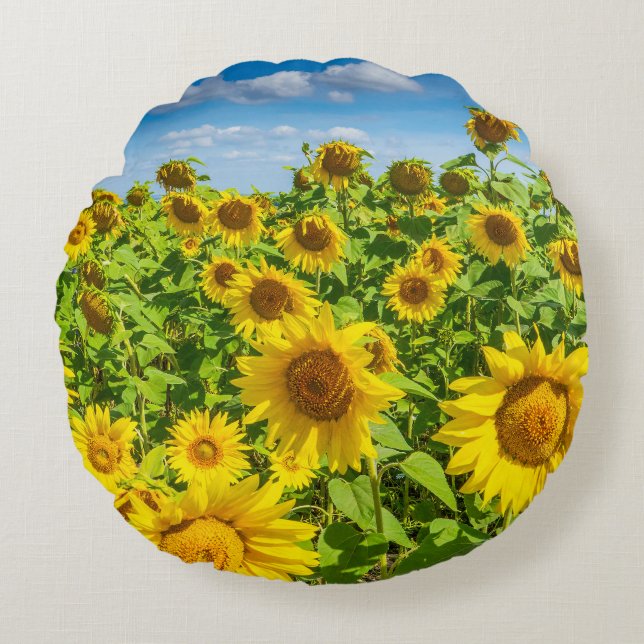 Almofada Redonda Campo de girassol, dia ensolarado de verão. (Frente)