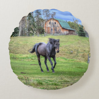 Almofada Redonda Canterna Black Percheron Equine Foto 2