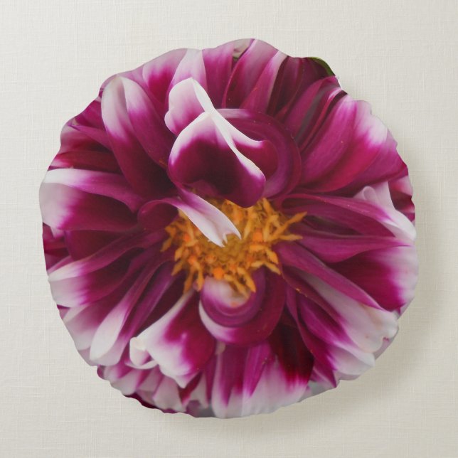 Almofada Redonda Carteuserina (Verso)