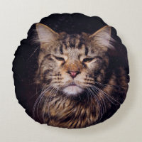 casulo de camarão preto, jovem ganimal,cat,c