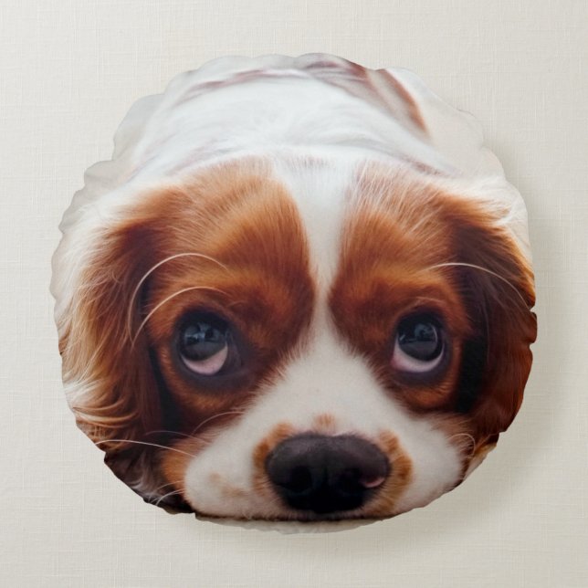 Almofada Redonda Cavalier King Charles Spaniel (Frente)