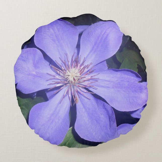 Almofada Redonda Césarine (Verso)