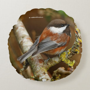 Almofada Redonda Chickadee Castanha-Suportado bonito na árvore de