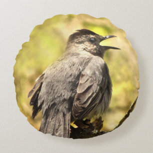 Almofada Redonda Cinza Catbird Cantando O Travesseiro Da Canção