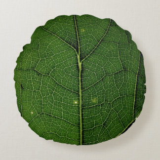 Almofada Redonda Close up photo of leaf