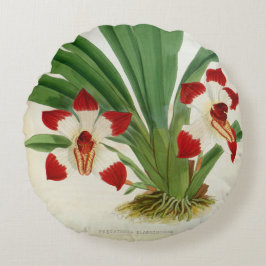 Almofada Redonda Coleção Pescatorea Klabochurum Orchid Lindenia