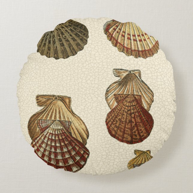 Almofada Redonda Conchas Antigas Raspadas (Frente)