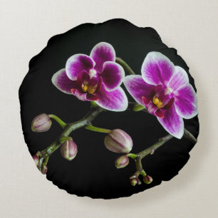 Almofada Redonda Cor branca rosa-orquídea em preto pálido e suave