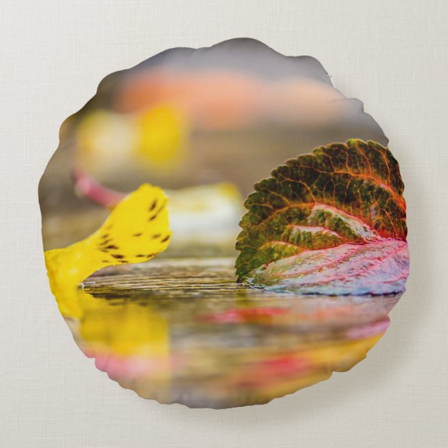 Almofada Redonda Cores de queda (Verso)