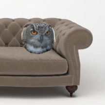 Coruja de Águia Eurasiana com Olhos Laranja