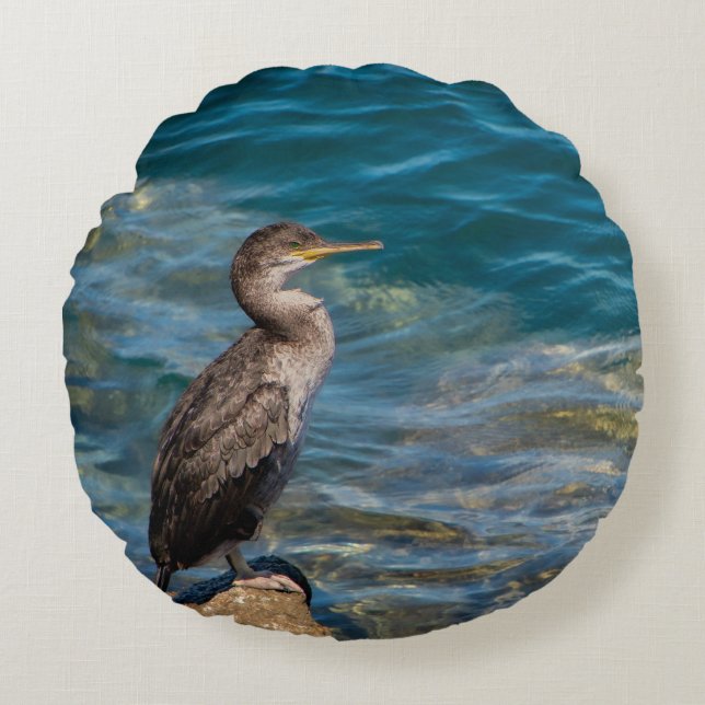 Almofada Redonda Corvo-excelente Nas Rochas (Frente)