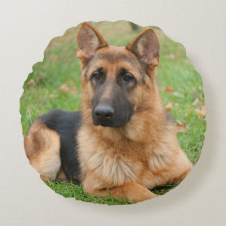 Almofada Redonda Create Your Own Pet Photo Custom Picture