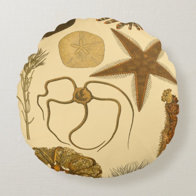 Almofada Redonda Criaturas do Mar Subaquático (Frente)