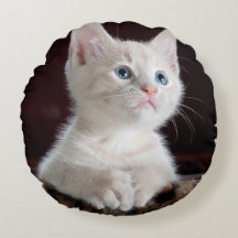 Cristóvão Branco Vulnerável