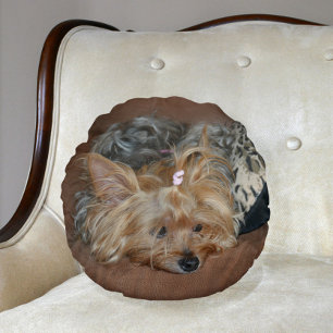 Almofada Redonda Cute Sleepy Yorkshire Terrier Yorkie Puppy