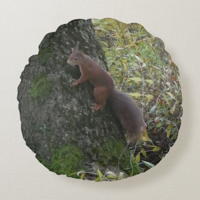Almofada Redonda Cute Squirrel on Tree Trunk Round Pillow (Frente)