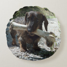 Almofada Redonda Dachshund