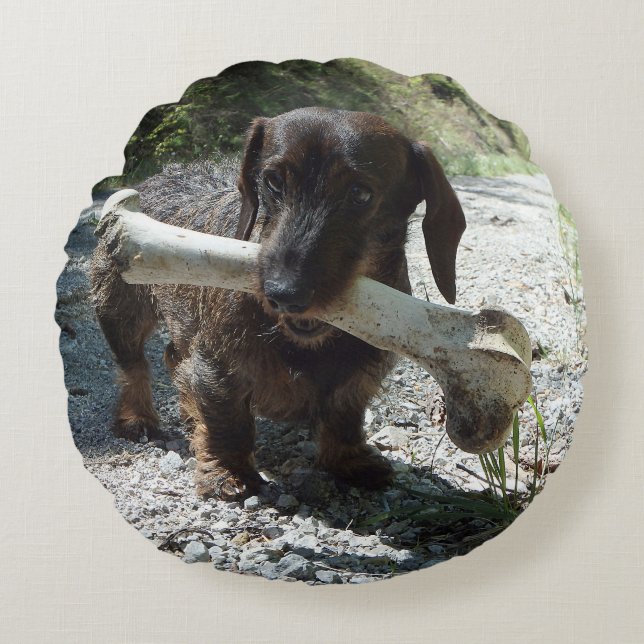 Almofada Redonda Dachshund (Frente)