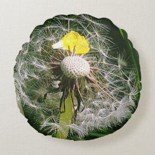 Almofada Redonda Dandelion