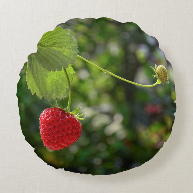 Almofada Redonda Delicioso tempo de morango (Frente)