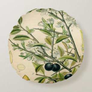 Almofada Redonda Desenho Floral Antiquado De Impressão Botânico