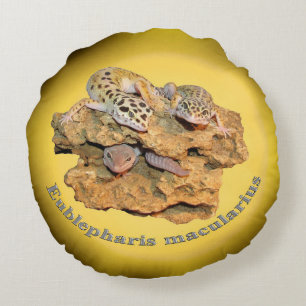 Almofada Redonda Design do geco do leopardo para tudo!