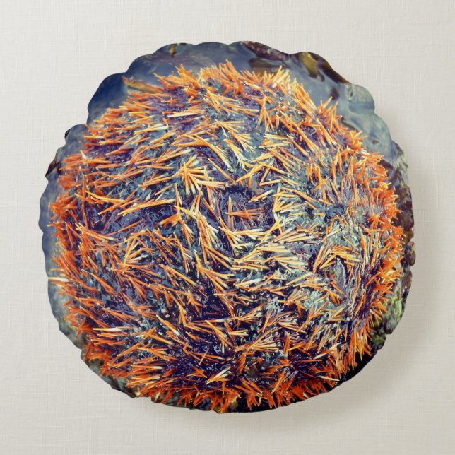 Almofada Redonda Diabrete de mar (Frente)