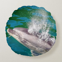 Almofada Redonda Dolphin In Milford Sound, Nova Zelândia