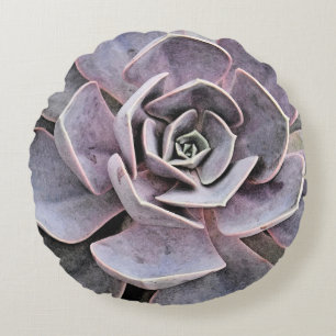 Almofada Redonda Echeveria "rosa" Succulent