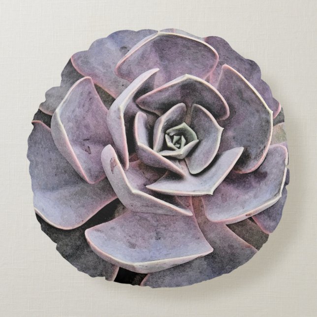 Almofada Redonda Echeveria "rosa" Succulent (Frente)