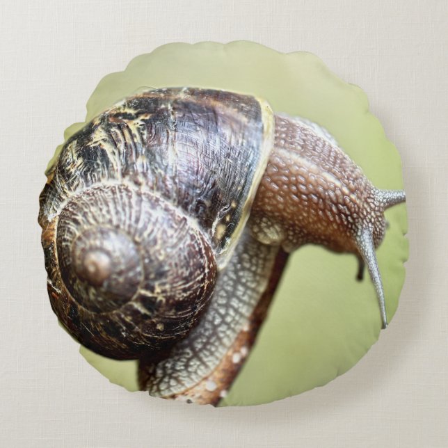 Almofada Redonda Escargot - O Rico Delight (Frente)