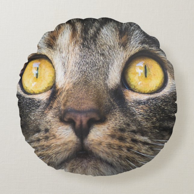 Almofada Redonda Fechamento de Gato com Olhos Amarelos (Frente)