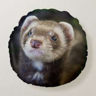 Almofada Redonda Ferret