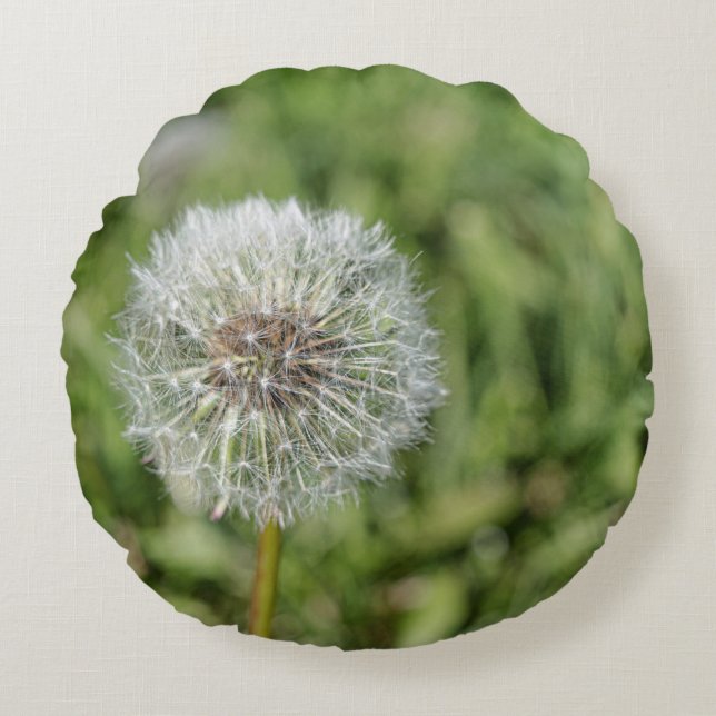 Almofada Redonda Flor de dandelion branco sobre grama verde (Frente)
