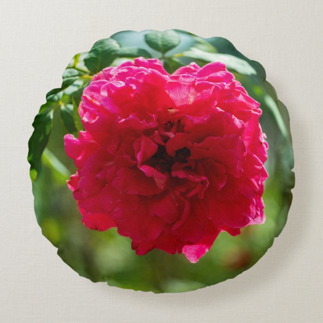 Almofada Redonda flor de rosa vermelha (Frente)