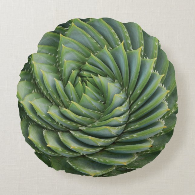 Almofada Redonda Flor Primavera de Cactus Verde (Frente)