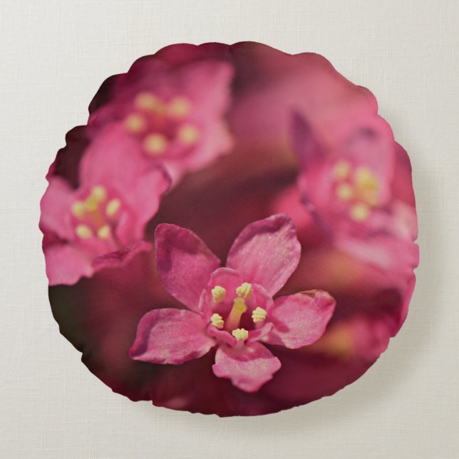 Almofada Redonda Flores Rosa Bonitas (Frente)