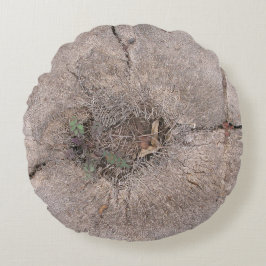 Almofada Redonda Foto de árvore de palma de corte botânico