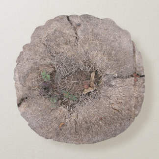 Almofada Redonda Foto de árvore de palma de corte botânico