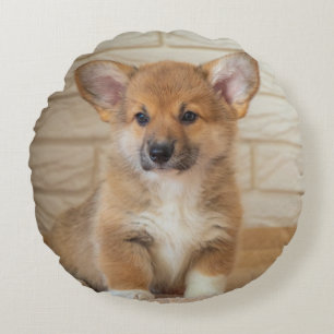 Almofada Redonda Foto de cachorro Corgi