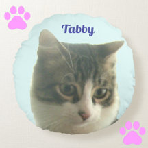 Foto personalizada de gato tabby em azul claro