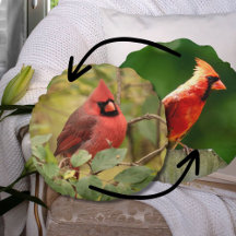 Fotografia Cardeal-norte com dupla face