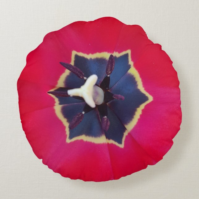 Almofada Redonda Fotografia da Macro Natureza da Pasta Vermelha Neg (Verso)